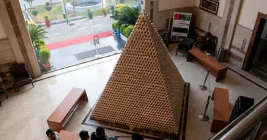 Самая большая пирамида из бумажных стаканчиков для кофе