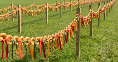 Самая длинная гирлянда из сушек (баранок)