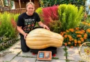 Самая тяжёлая мускатная тыква (баттернат)
