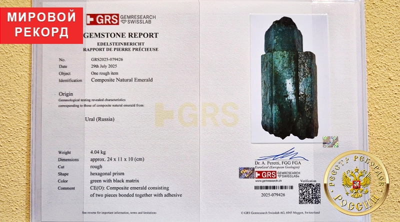 Заключение под номером GRS2025-079426