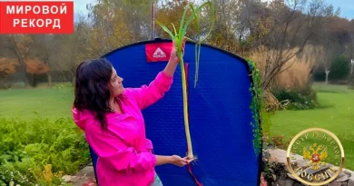 Анастасия Цубленок с самым длинным луком-пореем в мире