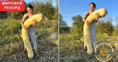 Елена Агафонова с самой длинной тыквой в мире