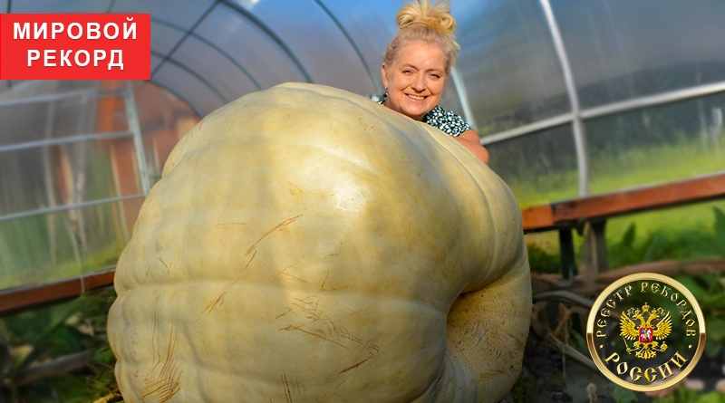  Юлия Богданова и тыква сорта Atlantic Giant за день до рекорда.