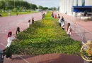Маскировочная сеть 100 метров — национальный рекорд в Астрахани