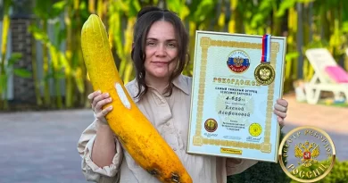 Самый тяжелый огурец (Cucumis sativus) весил 4.655 кг. и был выращен Еленой Агафоновой