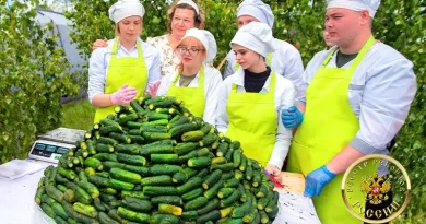 Самая большая порция малосольных огурцов