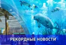 Самый большой крытый тематический парк морской жизни в мире