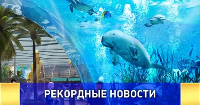 Самый большой крытый тематический парк морской жизни в мире