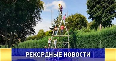 Самый высокий подсолнечник в мире — рекорд 2025 года